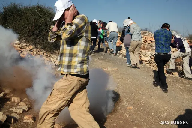 Palestinian, Israeli and foreign activists run for cover from tear gas canisters fired by Israeli soldiers during a demonstration against the demolishing of farm land to be used in the construction of Jewish settlements...