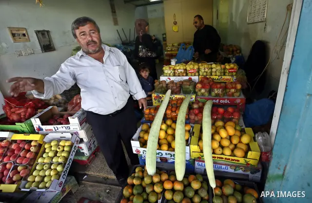 A Palestinian fruit and vegetable vendor displays Alfcos ( a vegtable like cucumber) with length of 120 cm at his shop in the West Bank city of Tubas, Tuesday ,Nov. 23, 2010 Photo by Wagdi Eshtayah