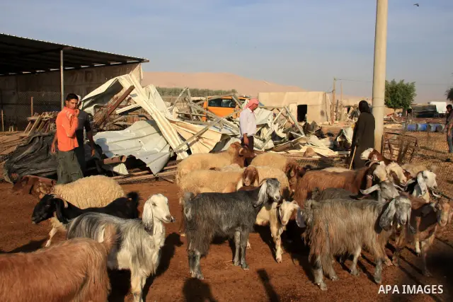 A Palestinian family inspect their building that was earlier demolished by Israeli army tractors on November 24, 2010 in the village of Jiftlik, north of the West Bank city of Jericho, in the so-called Area C, a closed m...