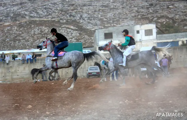 Palestinian jockeys ride their horses during a race in the West Bank city of Nablus on Dec. 3, 2010. Hundreds of Palestinians from all over the West Bank gathered to follow the horse race on Friday in the northern West B...