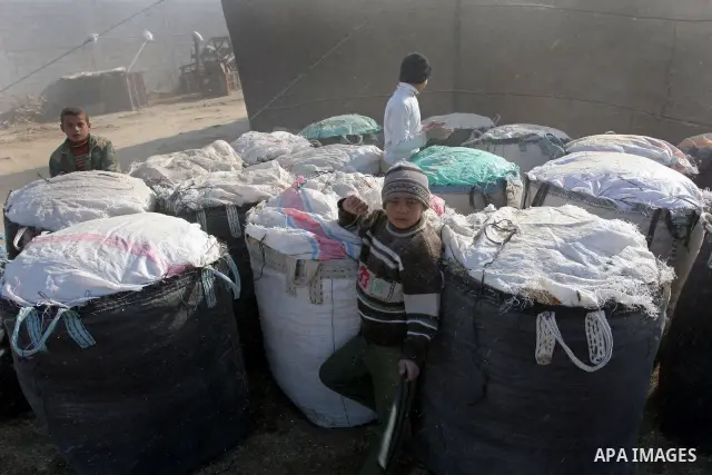 Palestinian boys stand near bags of grinded at a farm , in Gaza City on Dec. 15,2010. Photo by Mohammed Asad