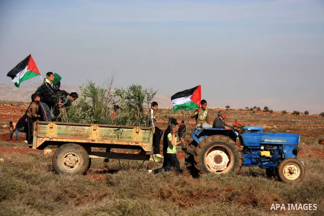 Palestinian farmers plant olive trees during a protest against the uprooting of trees belonging to Palestinians by Jewish settlers near settlement of Shelo in the West Bank village of Qosra near Nablus, 23 January 2011....
