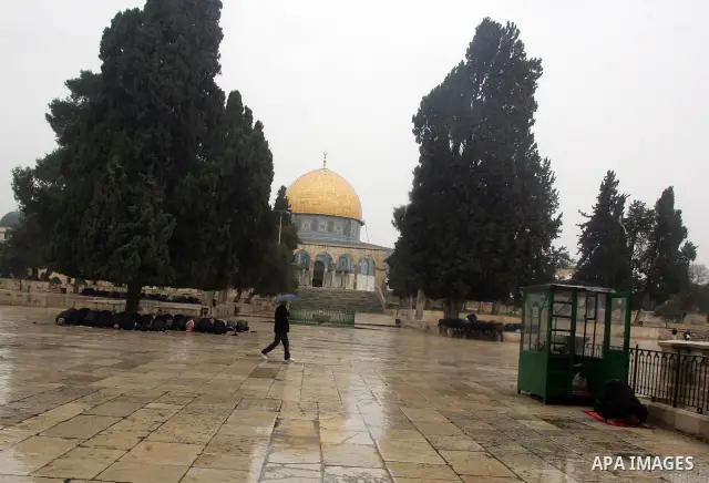 Palestinian Muslims pray in front of the Dome of the Rock during Fridays prayers in the old city of Jerusalem on Feb. 4,2011. Photo by Mahfouz Abu Turk