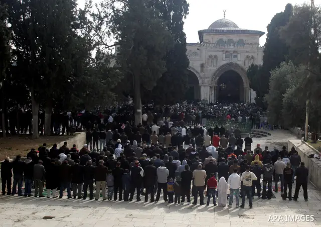 Palestinians attend Friday prayers at the Al-Aqsa Mosque compound in Jerusalem's Old City on February 11, 2011. Photo by Mahfouz Abu Turk