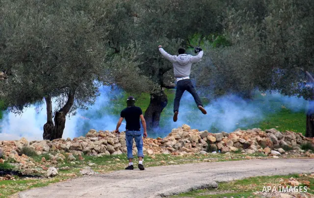 Israeli soldiers and border police fire tear gas at protestors during the weekly demonstration against Israel's separation barrier in the West Bank village of Bilin near Ramallah, Friday, Feb. 11, 2011. Photo by Wagdi Es...