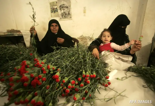 Palestinian farmers prepare flowers for export to the European countries at their flowers farm in Rafah in the southern Gaza Strip on February 14, 2011. Valentine's Day, celebrated on February 14, is named after the Chri...