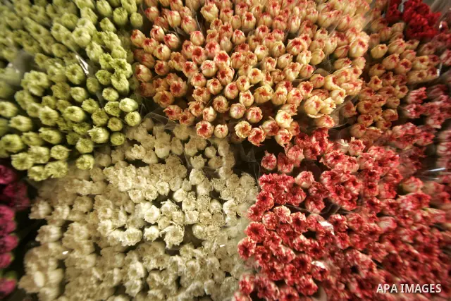 Palestinian farmers prepare flowers for export to the European countries at their flowers farm in Rafah in the southern Gaza Strip on February 14, 2011. Valentine's Day, celebrated on February 14, is named after the Chri...