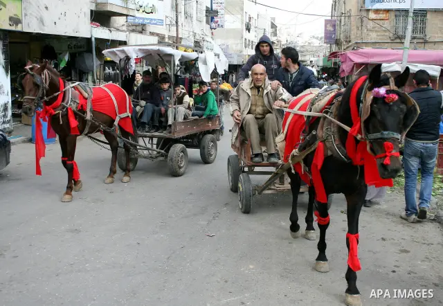 Palestinian men ride a horse-drawn cart during Valentine's Day is celebrated on February 14 by many people throughout the world. In the West, it is the traditional day on which lovers express their love for each other by...