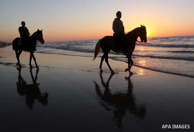 Palestinians ride their horses at Gaza city beach on Feb 18,2011 after the increasing of temperature in Gaza Strip. Photo by Mohammed Asad