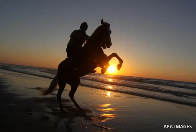 Palestinians ride their horses at Gaza city beach on Feb 18,2011 after the increasing of temperature in Gaza Strip. Photo by Mohammed Asad