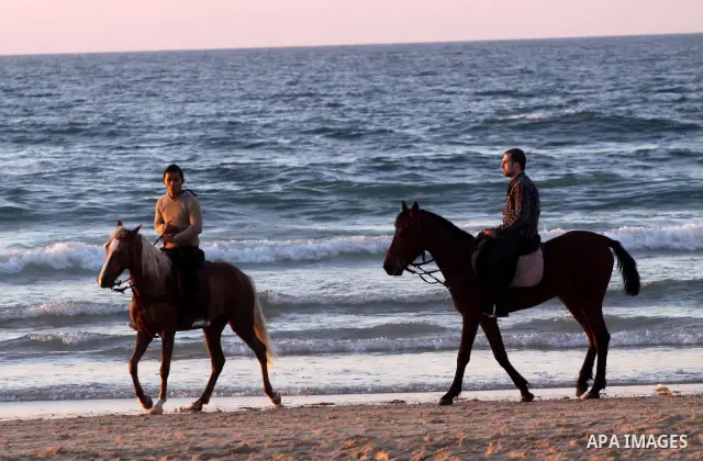 Palestinians ride their horses at Gaza city beach on Feb 18,2011 after the increasing of temperature in Gaza Strip. Photo by Mohammed Asad