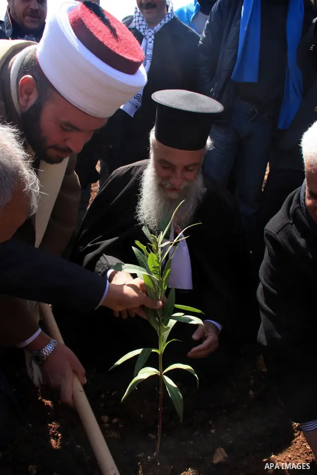 A Palestinian christian, George Awad Alartdhuks helps farmers to plant olive trees during a protest against the uprooting of trees belonging to Palestinians by Jewish settlers near the settlement of Elon Moreh in the Wes...