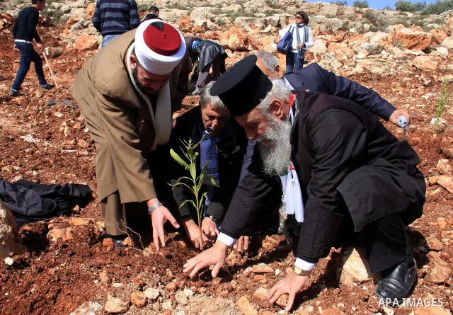 A Palestinian christian, George Awad Alartdhuks helps farmers to plant olive trees during a protest against the uprooting of trees belonging to Palestinians by Jewish settlers near the settlement of Elon Moreh in the Wes...