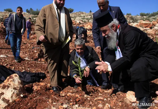 A Palestinian christian, George Awad Alartdhuks helps farmers to plant olive trees during a protest against the uprooting of trees belonging to Palestinians by Jewish settlers near the settlement of Elon Moreh in the Wes...