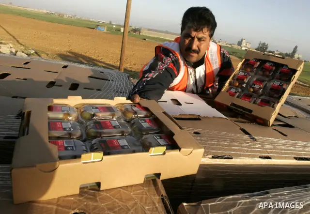 A Palestinian man inspects a truck loaded with cherry tomatoes at the Rafah border crossing in the southern Gaza Strip on March 02, 2011. Israel has granted special approval for the export of a small amount of Palestinia...