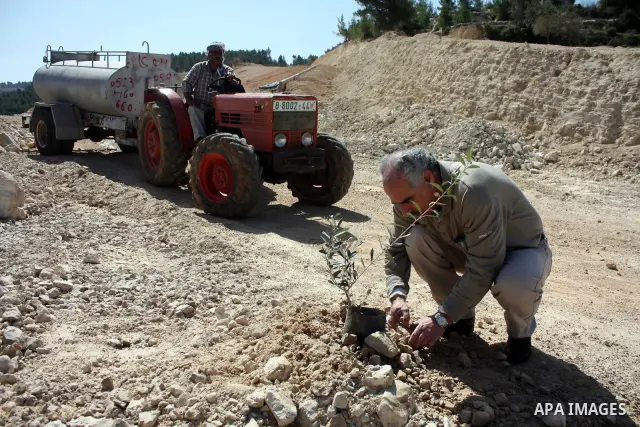 Palestinian take part to plant olive trees during a protest against Israel's controversial separation barrier in the West Bank village of Al Waljeh, near the biblical town of Bethlehem on March 04, 2011.Israel says the n...