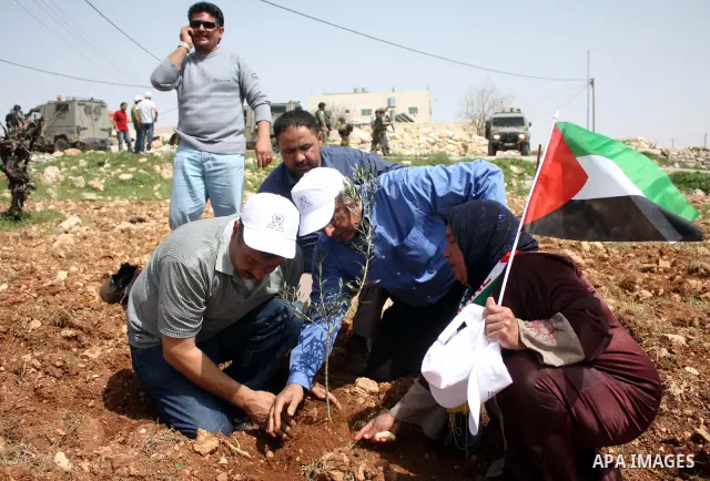 Israeli soldiers keep watch as demonstrators plant olive trees during a protest against Israel's controversial separation barrier and to mark "Land Day" in the West Bank village of Maasarah, near the biblical town of Bet...