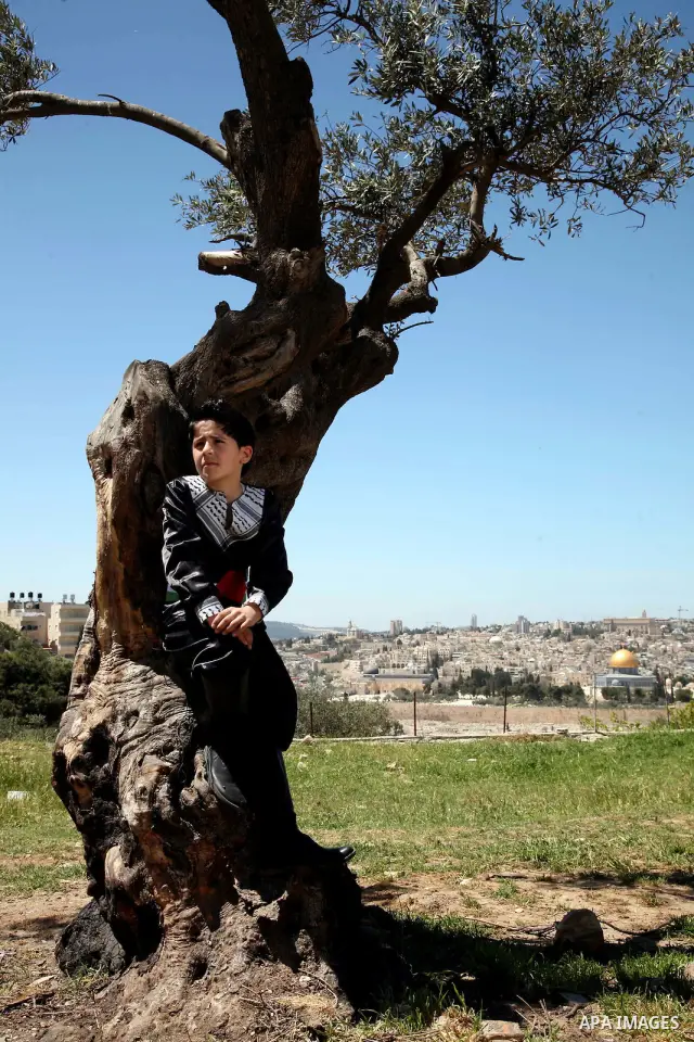 The Palestinian child Issam Bashiti, who was participated in the program Arab's got talent, delivers poetry in front of media in Jerusalem's old city on April 15,2011. The Dome of the Rock shown in the background. Photo...