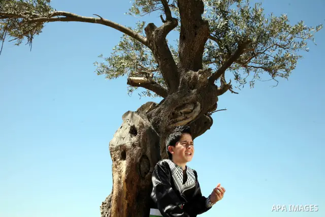 The Palestinian child Issam Bashiti, who was participated in the program Arab's got talent, delivers poetry in front of media in Jerusalem's old city on April 15,2011. The Dome of the Rock shown in the background. Photo...