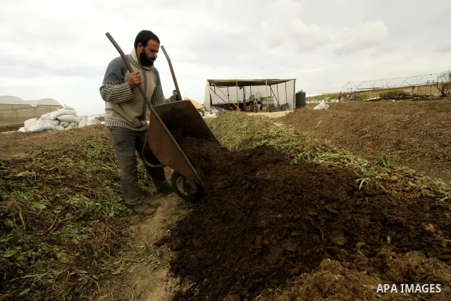 In this photo taken on April 21, 2011, Palestinian farmers work in turning the household garbage and the remains of plants into compost for farming in stead of the chemical fertilizers in the southern Gaza Strip town of...