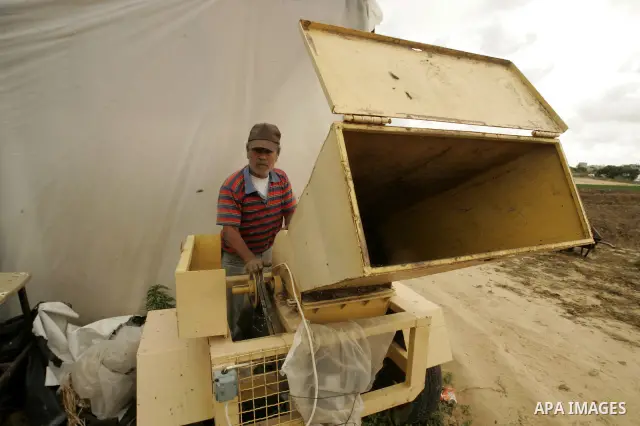 In this photo taken on April 21, 2011, Palestinian farmers work in turning the household garbage and the remains of plants into compost for farming in stead of the chemical fertilizers in the southern Gaza Strip town of...