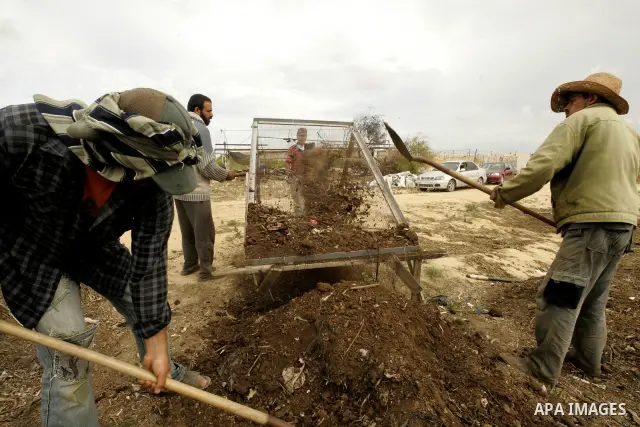 In this photo taken on April 21, 2011, Palestinian farmers work in turning the household garbage and the remains of plants into compost for farming in stead of the chemical fertilizers in the southern Gaza Strip town of...