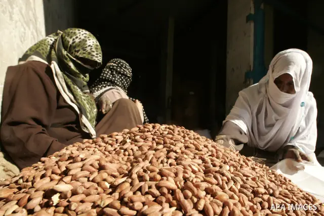 Palestinian women prepare peanut for selling at a toaster in the southern Gaza Strip town of Rafah on April 23, 2011. Palestinian women work as a result of the poverty rates which rose to high levels due to the Israeli b...