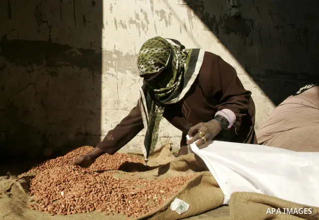 Palestinian women prepare peanut for selling at a toaster in the southern Gaza Strip town of Rafah on April 23, 2011. Palestinian women work as a result of the poverty rates which rose to high levels due to the Israeli b...