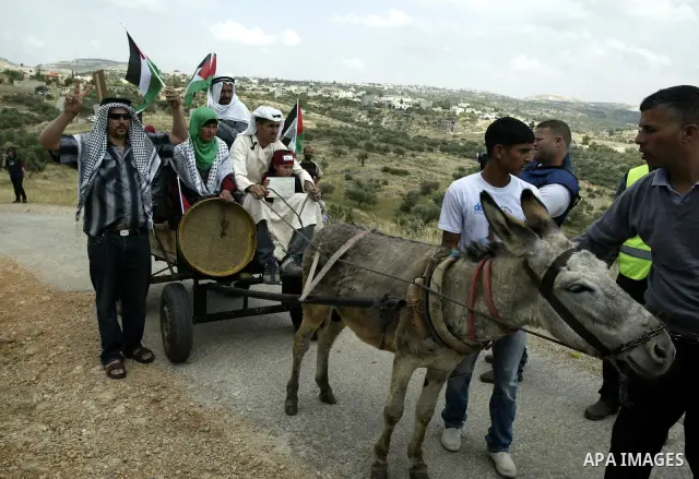 Palestinian protestors ride a donkey during a protest against Israel's controversial separation barrier and to mark the 63th anniversary of "Nakba" (catastrophe) on May 13, 2011in the West Bank village of Bilin. Nakba me...