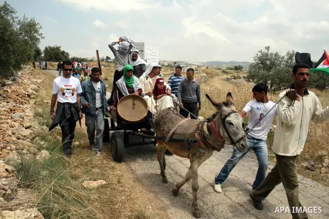 Palestinian protestors ride a donkey during a protest against Israel's controversial separation barrier and to mark the 63th anniversary of "Nakba" (catastrophe) on May 13, 2011in the West Bank village of Bilin. Nakba me...