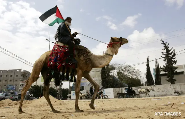 A Palestinian man holds a national flag as he rides a camel at the "Camp of Return" set up on May 14, 2011 in the southern Gaza Strip refugee camp of Rafah, where Palestinians are marking the 63rd anniversary of the 1948...