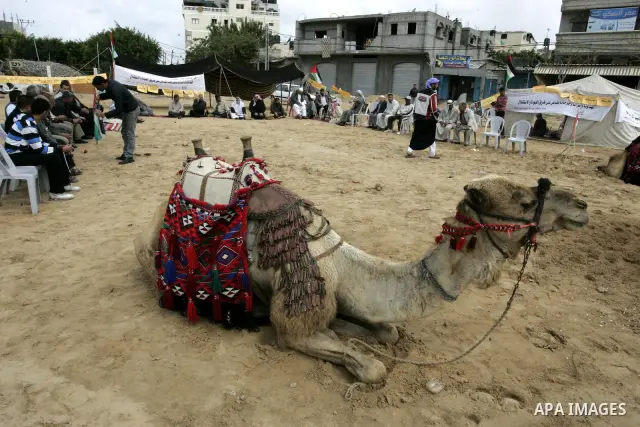 Palestinian men gather at the "Camp of Return" tent to stress the refugees' ties to their ancestral land on May 14, 2011 in the southern Gaza Strip refugee camp of Rafah, where Palestinians are marking the 63rd anniversa...