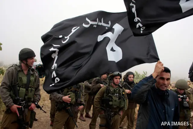 Protesters carrying flags demonstrate in front of Iraeli soldiers during the weekly demonstration in the West Bank village of Beit Omar , near Hebron against Israel's controversial separation barrier and to mark the 63th...