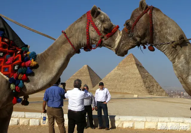 Foreign tourists visits the Giza Pyramids at the outskirts of Cairo, capital of Egypt. in this picture taken May 11, 2011. Photo by Ashraf Amra