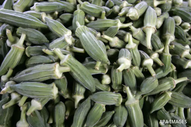 A Palestinian man displays okra in the market of Rafah refugee camp in the southern Gaza Strip on June 6, 2011. Photo by Abed Rahim Khatib