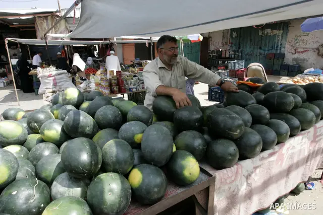 A Palestinian man displays watermelon in the market of Rafah refugee camp in the southern Gaza Strip on June 6, 2011. Photo by Abed Rahim Khatib