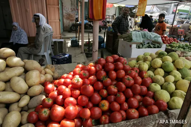 Palestinians display fresh vegetables in the market of Rafah refugee camp in the southern Gaza Strip on June 6, 2011. Photo by Abed Rahim Khatib
