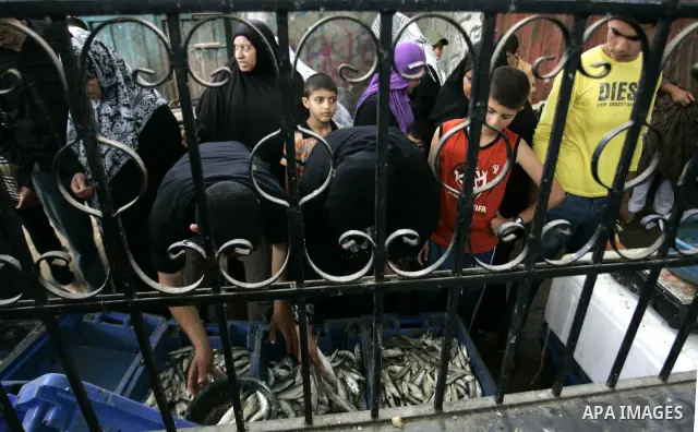 Palestinians buy the fish on the market in Rafah refugee camp in the southern Gaza Strip on June 11, 2011. Palestinians said that they rely on fish smuggled through tunnels from Egypt to Gaza. while fishermen suffering f...