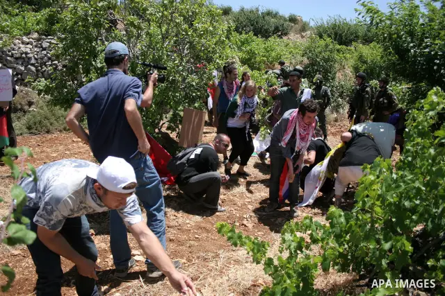 Palestinian, Israeli and foreign activists, during a demonstration against the destroy of farm lands used in the construction of Jewish settlements near the existing Israeli settlement of Karmi Tsor, near the Palestinian...