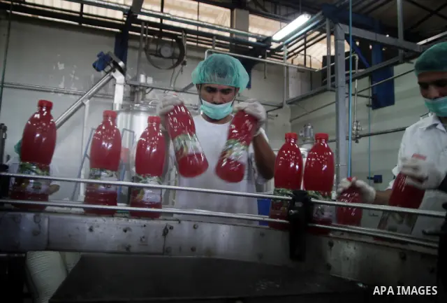 Palestinian workers bottle fruit juice at Juice Factory in Gaza City on Jun 16, 2011. it depends on citrus and fruit that are widely planted in Gaza Strip. Due to the closure of Gaza Strip crossings and the Israeli banni...