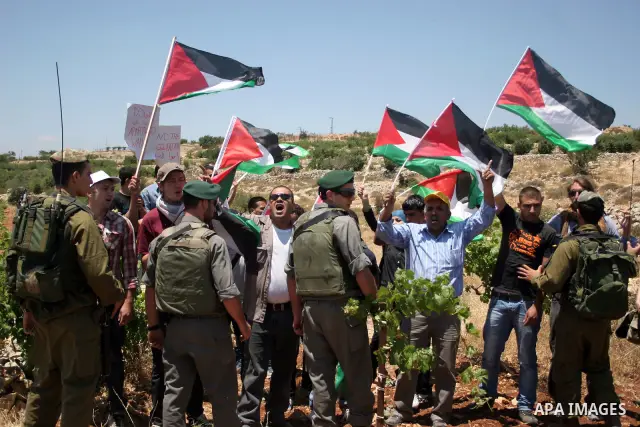 Israeli soldiers scuffle with protesters on Jun 18, 2011 during a demonstration by foreign, Israeli and Palestinian activists against the Jewish settlement of Karmei Tzur near the Palestinian village of Beit Omar, just n...