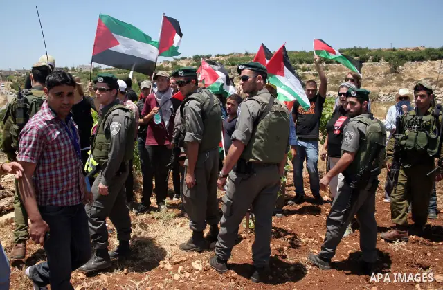 Israeli soldiers scuffle with protesters on Jun 18, 2011 during a demonstration by foreign, Israeli and Palestinian activists against the Jewish settlement of Karmei Tzur near the Palestinian village of Beit Omar, just n...