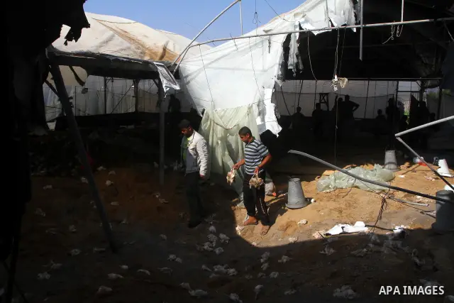 Palestinian men inspect a poultry farm damaged in an Israeli airstrike in Deir al-Balah, Gaza Strip, on June 22, 2011. Israel confirmed Wednesday that it had carried out an airstrike in the Gaza Strip for the first time...