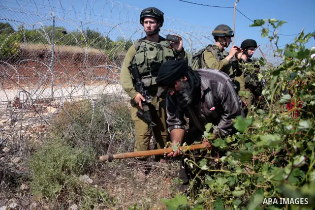 Israeli soldiers stand guards as protesters help a Palestinian farmer in his land on Jun 24, 2011 during a demonstration by foreign, Israeli and Palestinian activists against the Jewish settlement of Karmei Tzur near the...