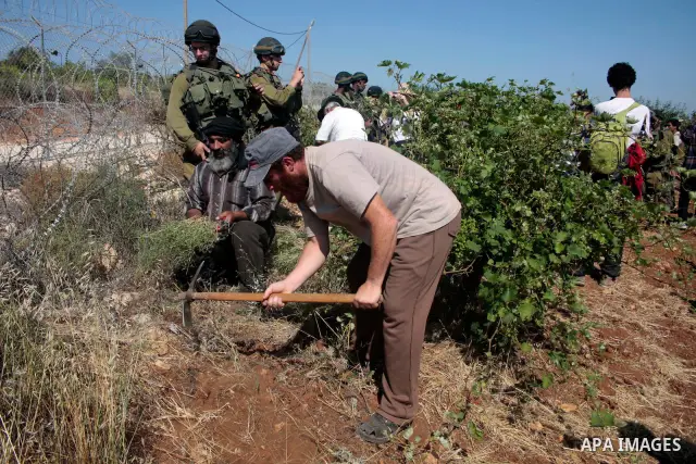Israeli soldiers stand guards as protesters help a Palestinian farmer in his land on Jun 24, 2011 during a demonstration by foreign, Israeli and Palestinian activists against the Jewish settlement of Karmei Tzur near the...