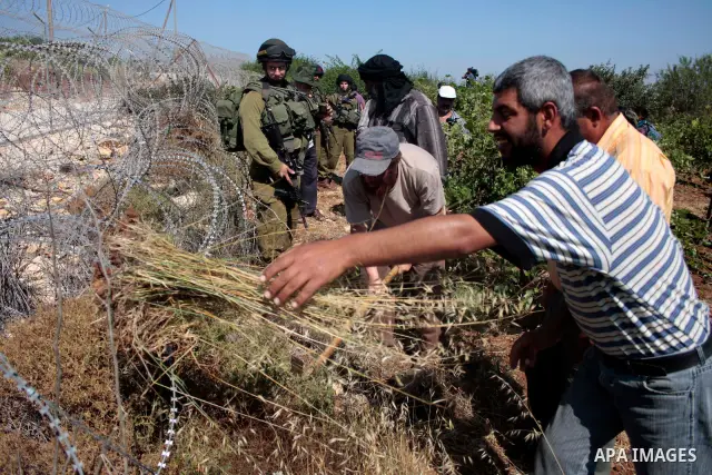 Israeli soldiers stand guards as protesters help a Palestinian farmer in his land on Jun 24, 2011 during a demonstration by foreign, Israeli and Palestinian activists against the Jewish settlement of Karmei Tzur near the...