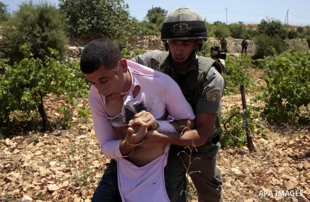 An Israeli soldier detains a Palestinian protester during a demonstration against the demolishing of farm land to be used in the construction of Jewish settlements near the existing Israeli settlement of Karmi Tsor near...