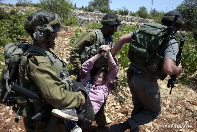 Israeli soldiers detain a foreign activist during a demonstration against the demolishing of farm land to be used in the construction of Jewish settlements near the existing Israeli settlement of Karmi Tsor near the Pale...