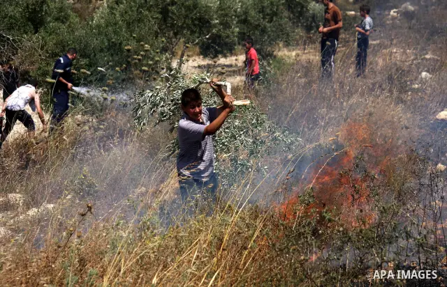 Palestinian villagers put out a burning field which according to witnesses was set ablaze by Jewish settlers on June 30, 2011 in the Israeli-occupied Palestinian West Bank village of Hawara. Photo by Wagdi Eshtayah