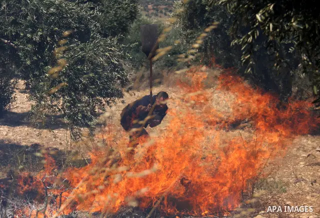 Palestinian villagers put out a burning field which according to witnesses was set ablaze by Jewish settlers on June 30, 2011 in the Israeli-occupied Palestinian West Bank village of Hawara. Photo by Wagdi Eshtayah
